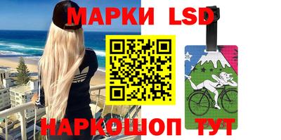 прущие грибы Кингисепп