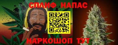 шишки Кимры