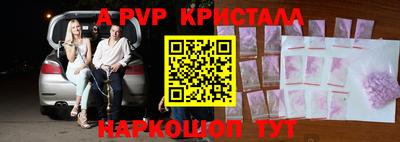 шишки Кимры