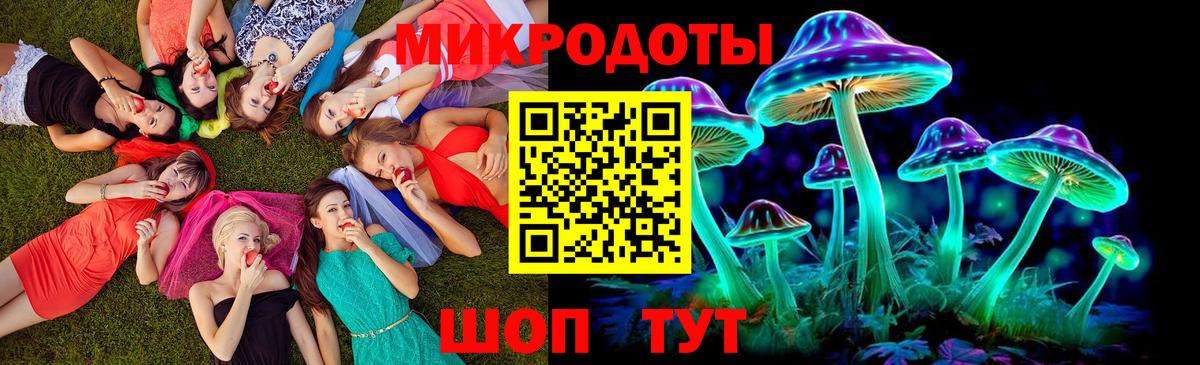 Георгиевск  где купить наркотик  Вход с VPN  Галлюциногенные грибы Psilocybe 