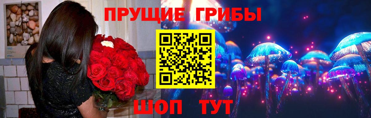 Галлюциногенные грибы прущие грибы Георгиевск